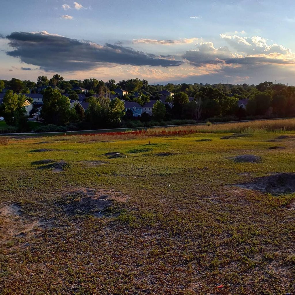 Epic prairie dog cuteness. Can see you spot the tiny bay? #denver #mountainscape #getlost &hellip;