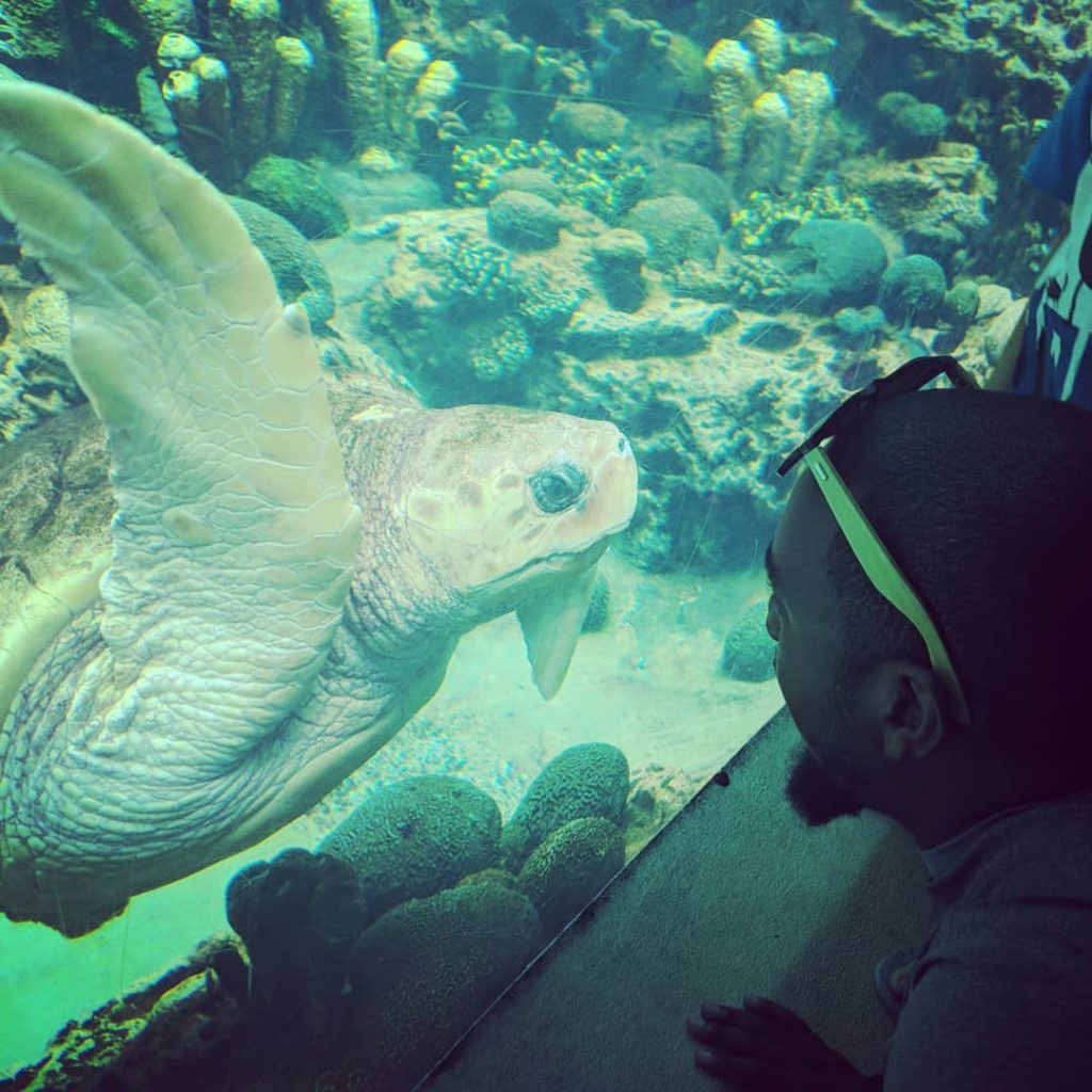“The world’s finest wilderness lies beneath the waves …” — Wyland, Marine Life Artist…