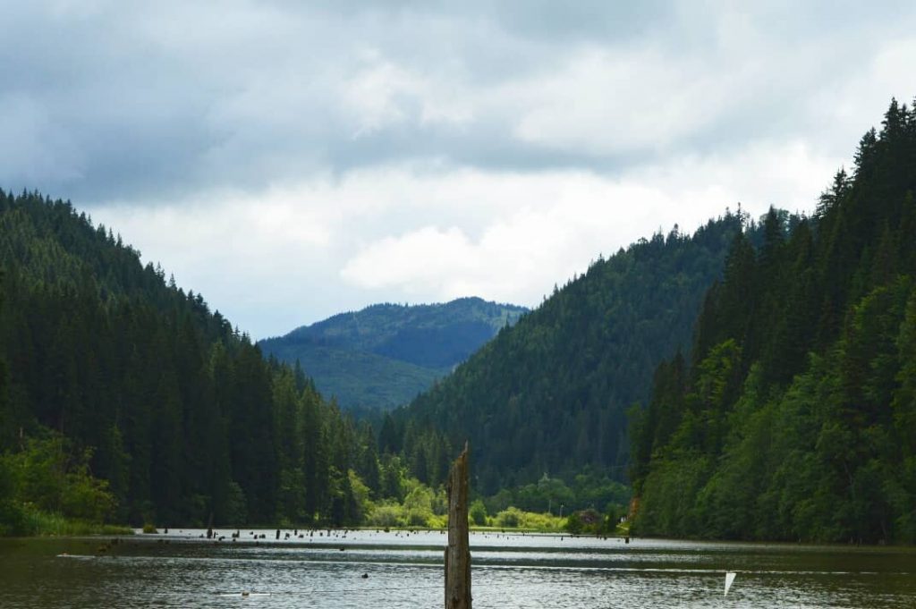 #nature #naturephotography #travel #traveller #travelphoto #iamtb #trip #transylvania #mountain #woods #sky #skyscape #view #lake&hellip;