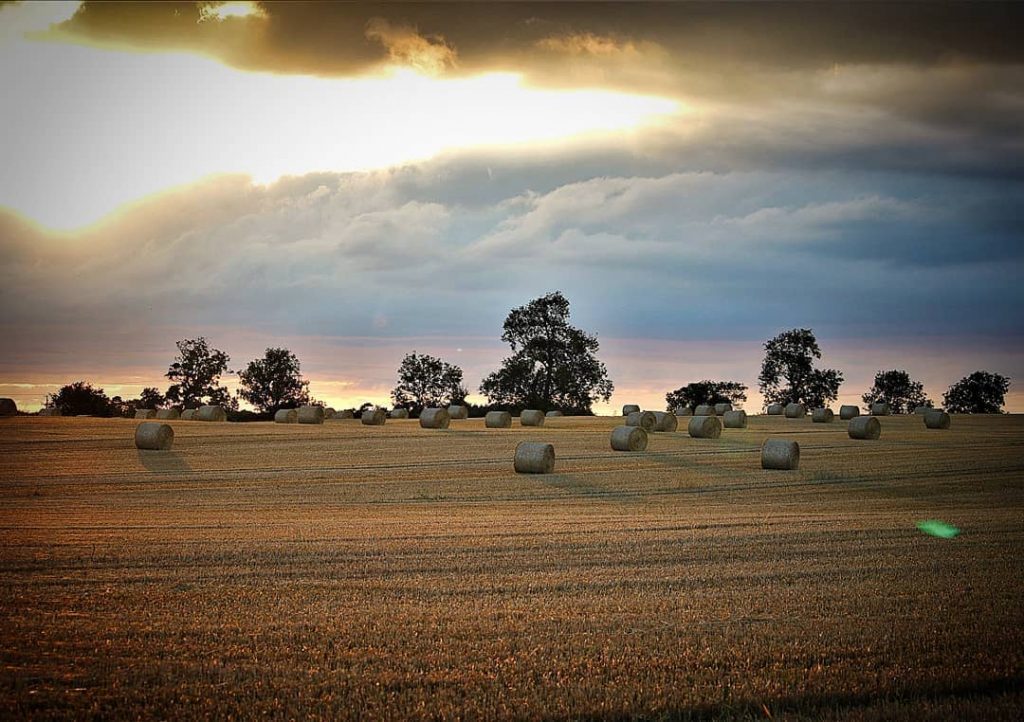 Summer in England #nature #naturephotography #natureshots #instanature #nature_brilliance #landscape #landscapephotography #landschaftsfotografie #reisen #rundreise #travelphotography&hellip;