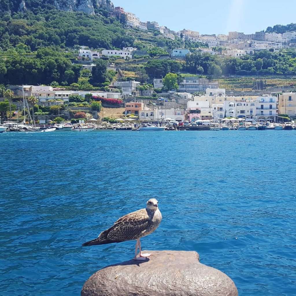 “Inside us all, sits a little adventurous you spread your wings, you’ll have no&hellip;