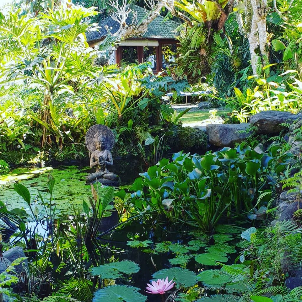 #bali #essence #travel #traveling #travelphotography #instatravel #bnesimppl #fiorediloto #l4like #l4l #neverstop #withyou