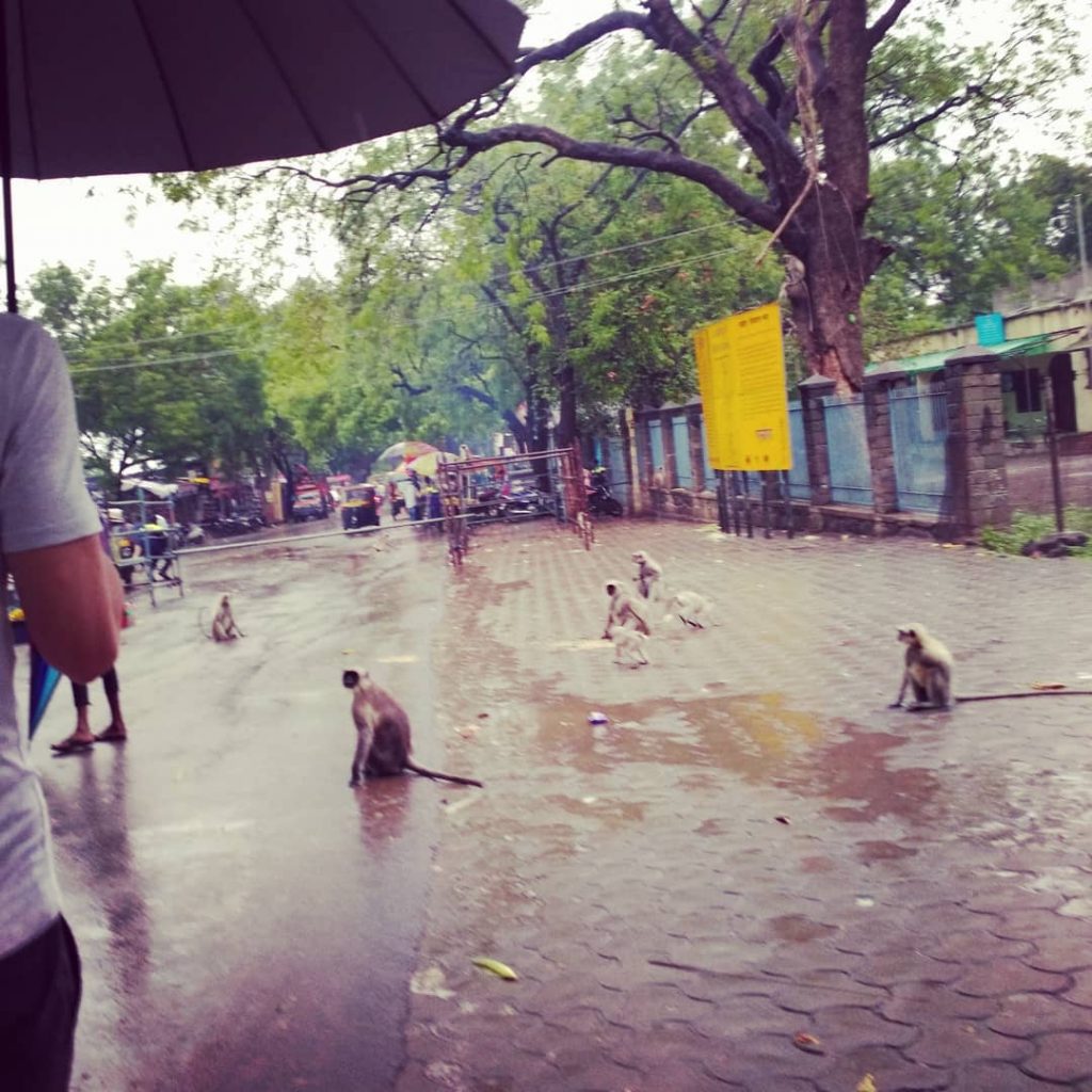 Travelling around India . . . . . . #traveltheworld #travelblogger #traveldiaries #instablogger #instablog&hellip;