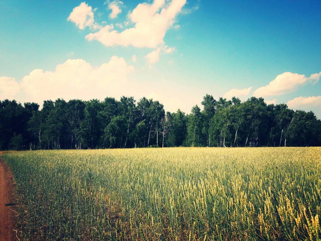 Beautiful #naturephotography #bnesimppl