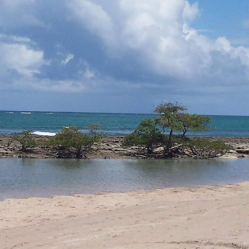 De novo, águas mornas e tranquilas, piscinas naturais com peixinhos coloridos, rio e mar.…