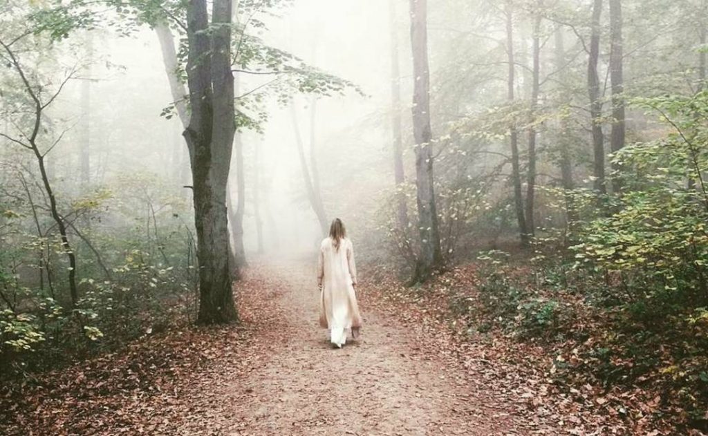 Foggy . . . . . #wander #wanderlust #globetrotter #adventure #explore #world #worldescapetravel #travel…