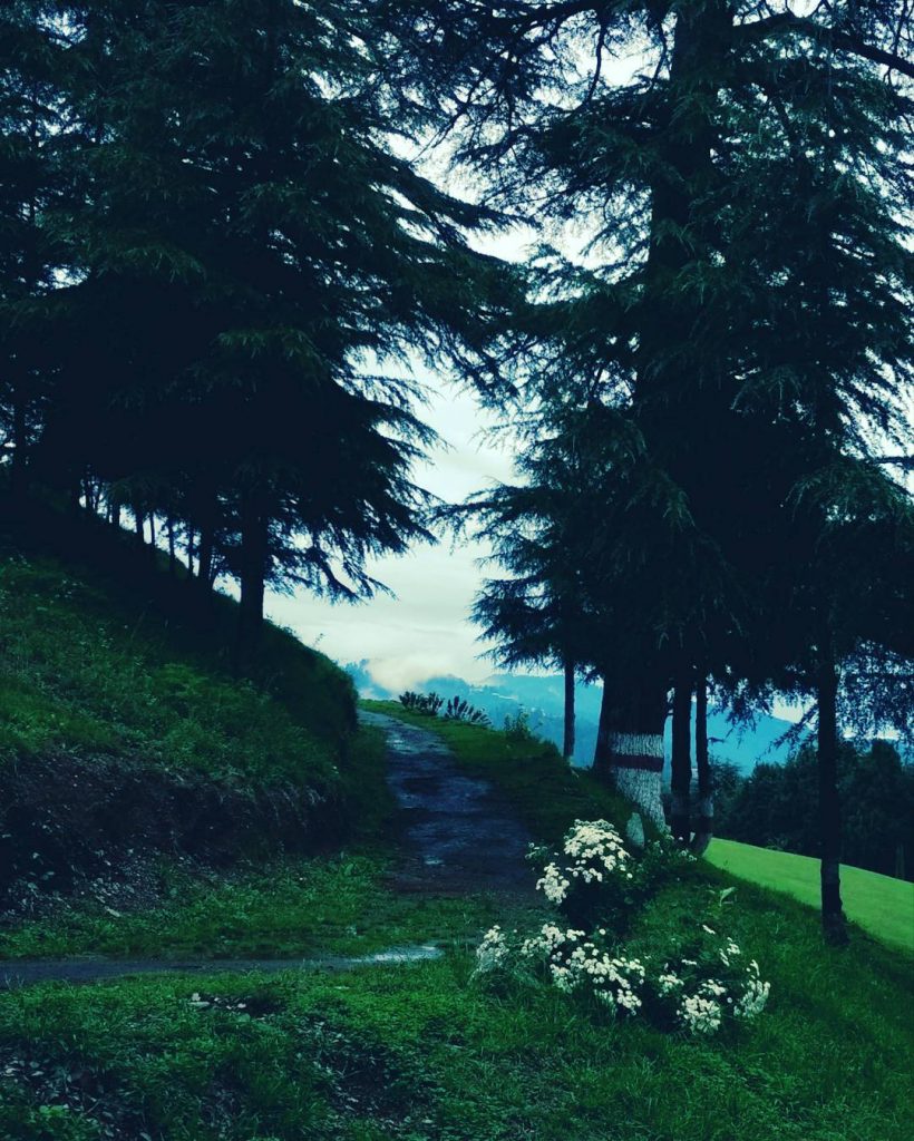 “some beautiful paths can’t be discovered without getting lost” #erolozan #goodreads #good_quotes #instagramers #instagood…
