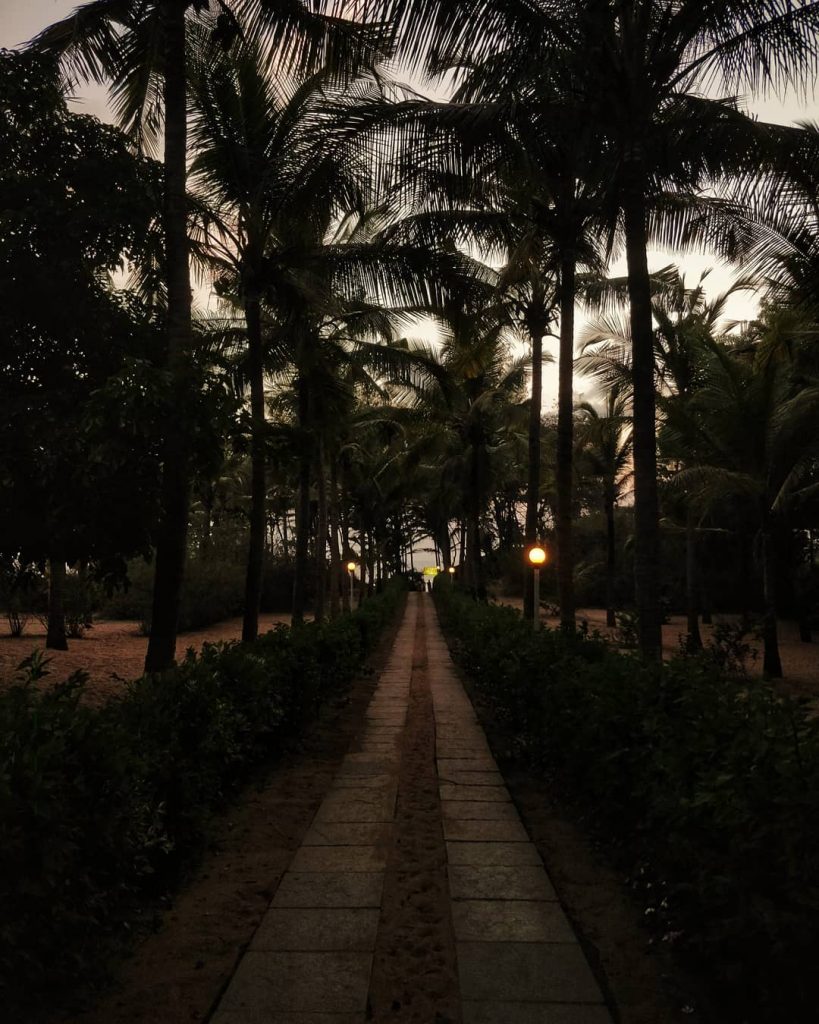 All good things are WILD n FREE @ @natgeotravellerindia @travelandleisure @indiantravelers @wetravelsolo @lonelyplanetindia @goa…