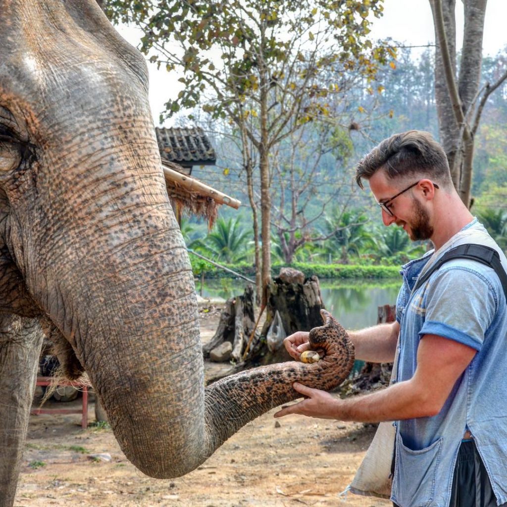Chiang Mai, Thailand . Food is happiness . #chiangmai #chiangmaithailand #thailand #elephant #food #feedingelephants…