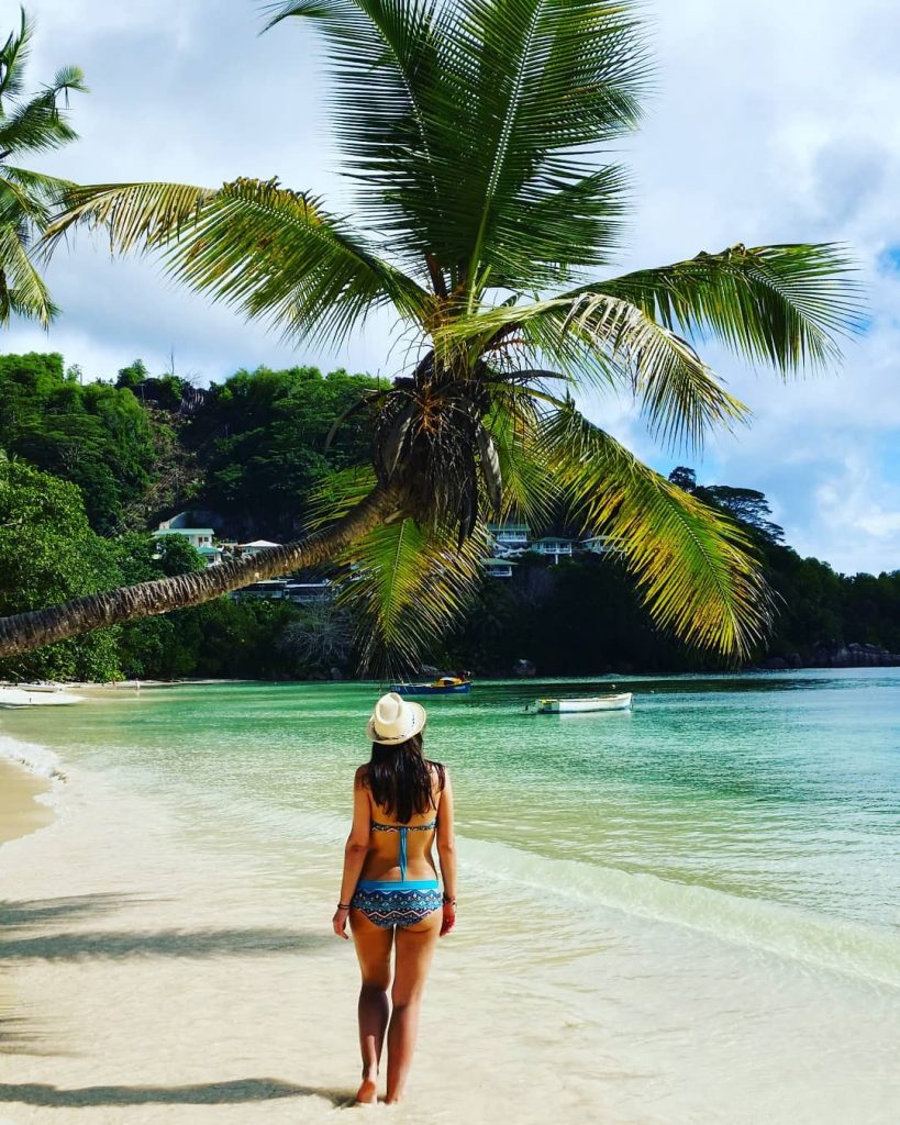 Walk on the paradise beach #beachscape #beachday #holidays #paradise #seychelles #mahe #palmtrees #borntotravel #bestplacestogo…