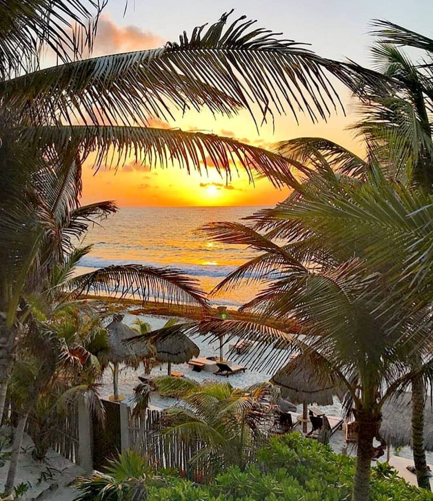 Love this view @nesttulum Tulum have a sweet evening #tulum #tulum #tulumlifestyle #tulummexico #tulummexico…