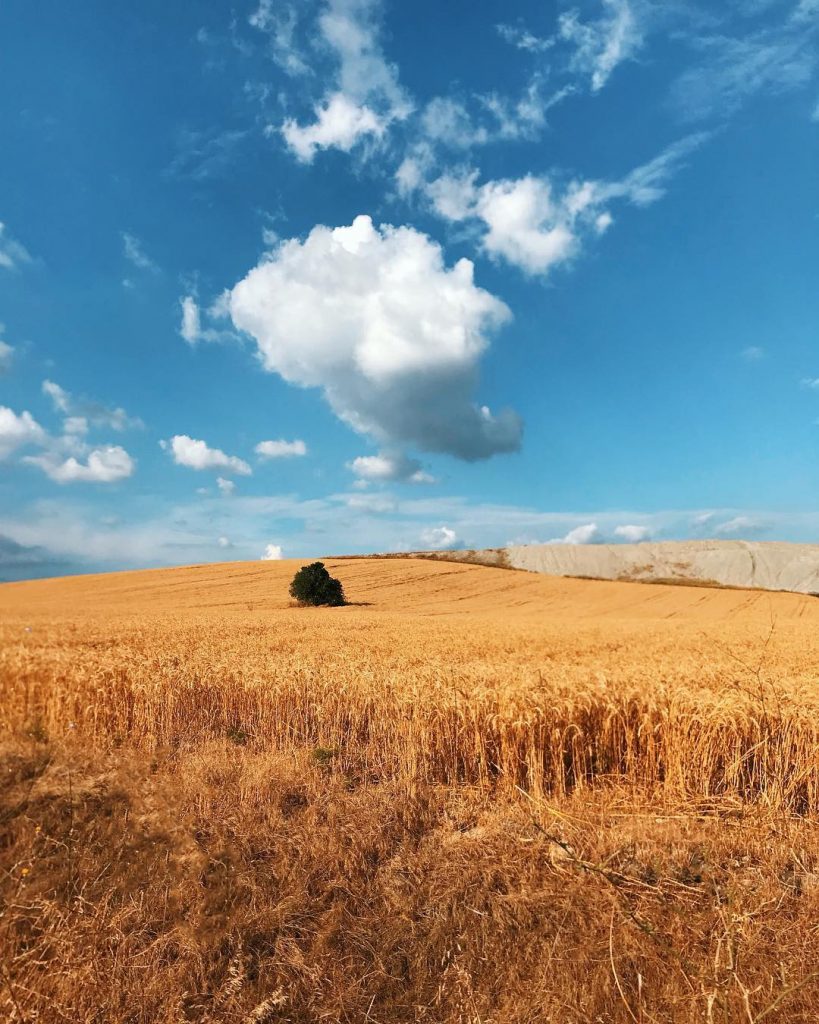 One way ticket to the ️️️ • • • • • #roamtheplanet #clouds #createexplore&hellip;