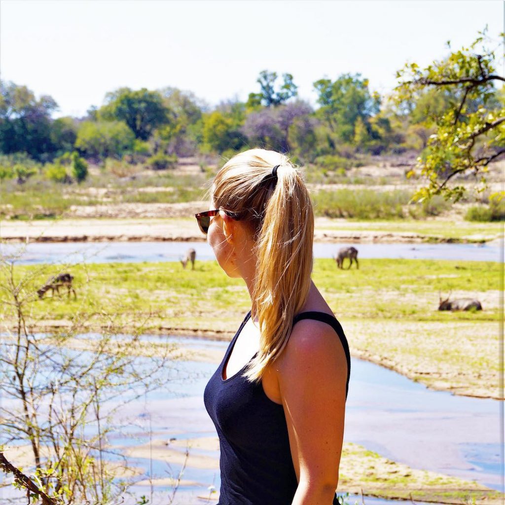 L O O K I N G F O R T H E B&hellip;