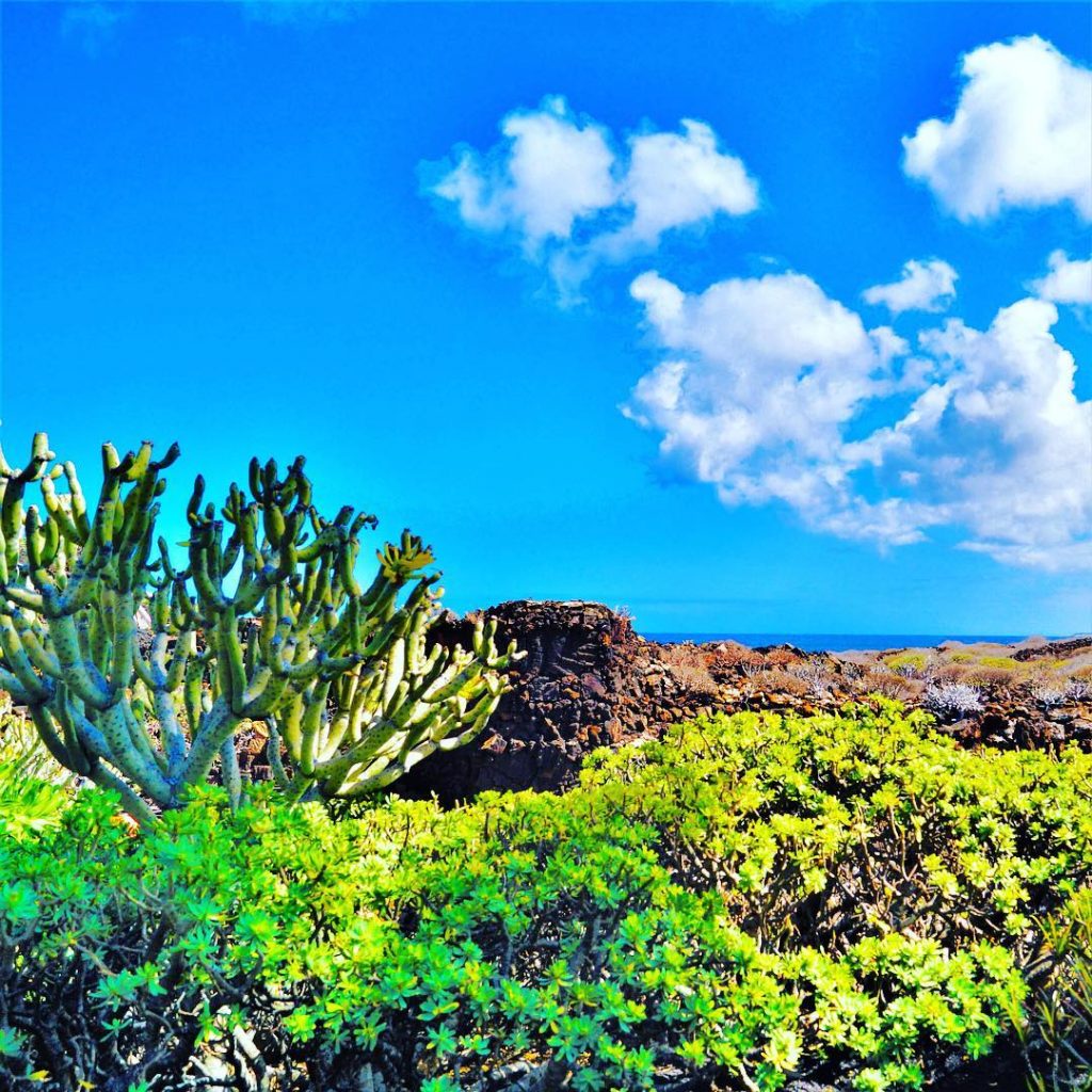 I F Y O U T R U L Y L O V E&hellip;