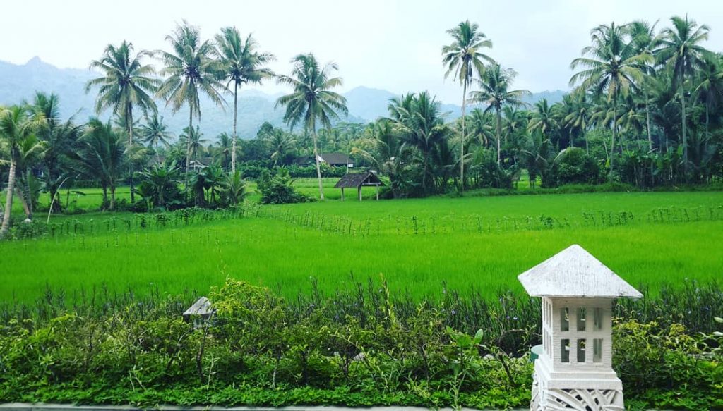 Tanah airku Indonesia, negeri elok amat #beautifulindonesia #borobudur #javanese #amazingview #wonderfulindonesia #indotravellers #offthebeatenpath #bnesimppl