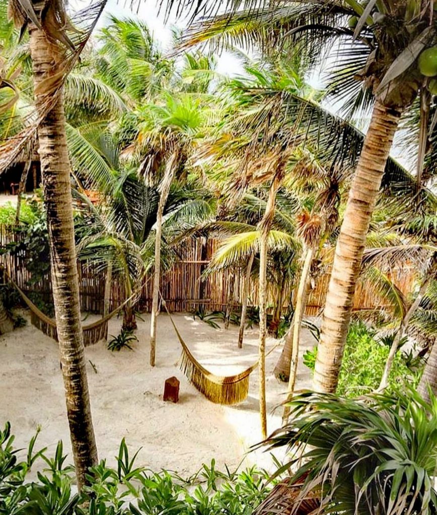 I’d like to be there #repost @nesttulum #landscape #tulum #tulum #tulummexico #tulumlife #tulumvibes #tulumquintana…