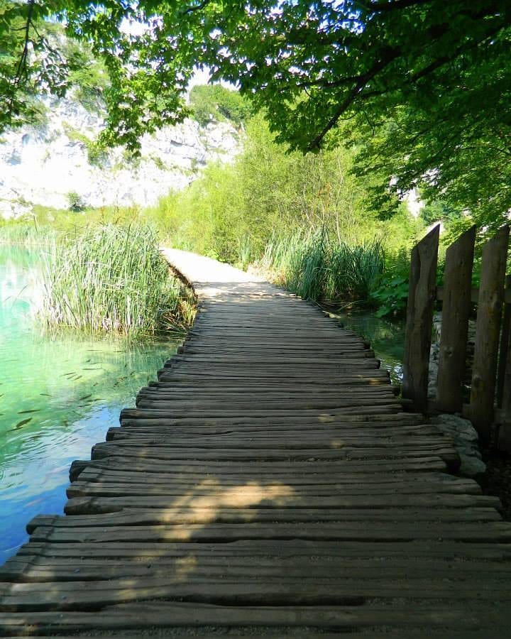 Plitvice Lakes – Croatia #travel #discovertheworld #lac #lake #croatia #plitvicelakes #summer #beautifulnature #discovernewplaces #traveltheworld&hellip;