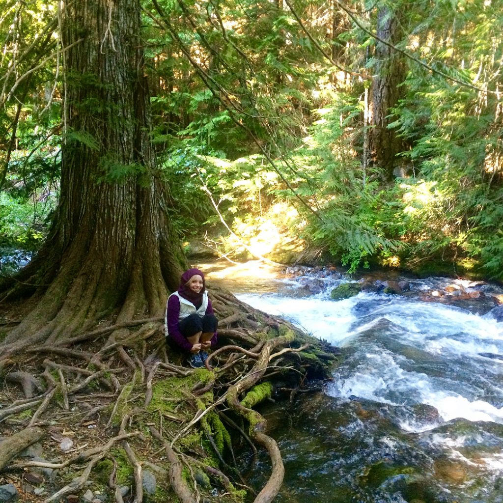 I loved this hike to Tamanawas Falls ️ even though it started off a…