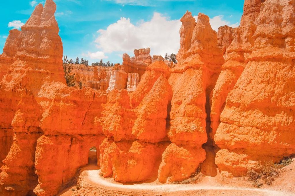 Un parc vraiment magnifique. L’avez-vous déjà visiter ? • • • A really beautiful&hellip;