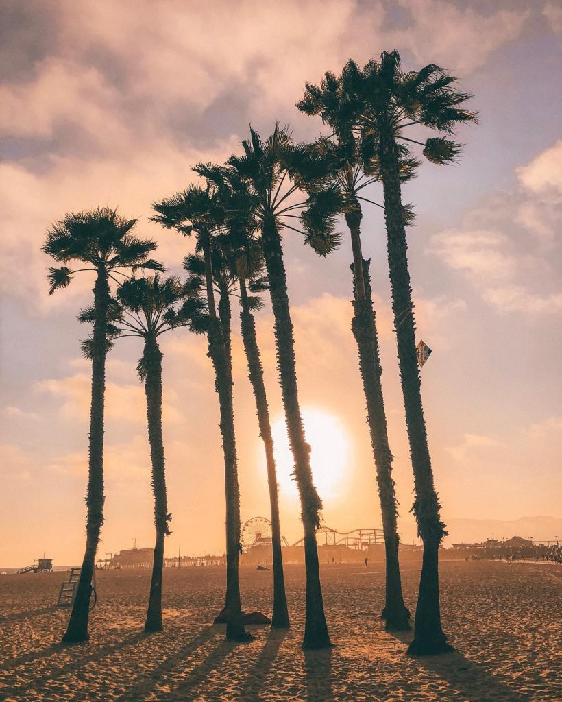 Atardecer en Santa Monica, momentos de pelicula junto a @laia_llr ️️ #santamonica #california