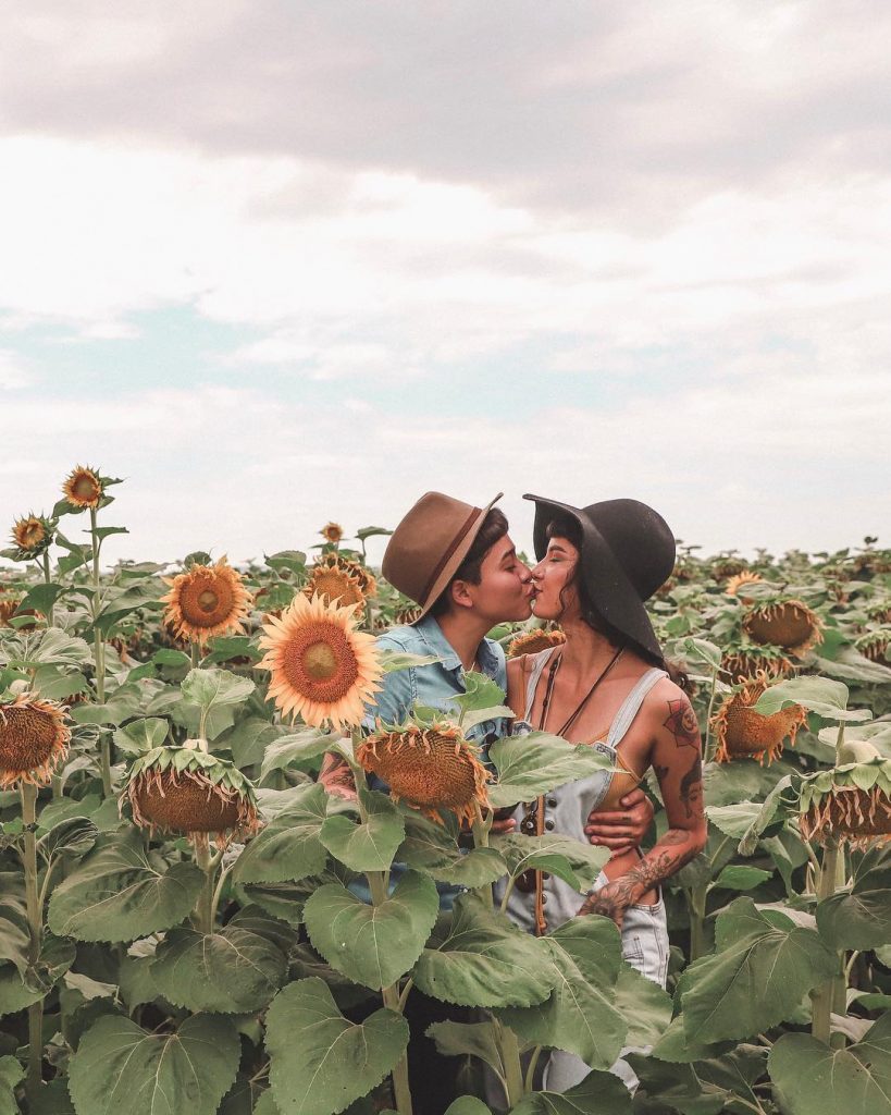 Sunflower kisses