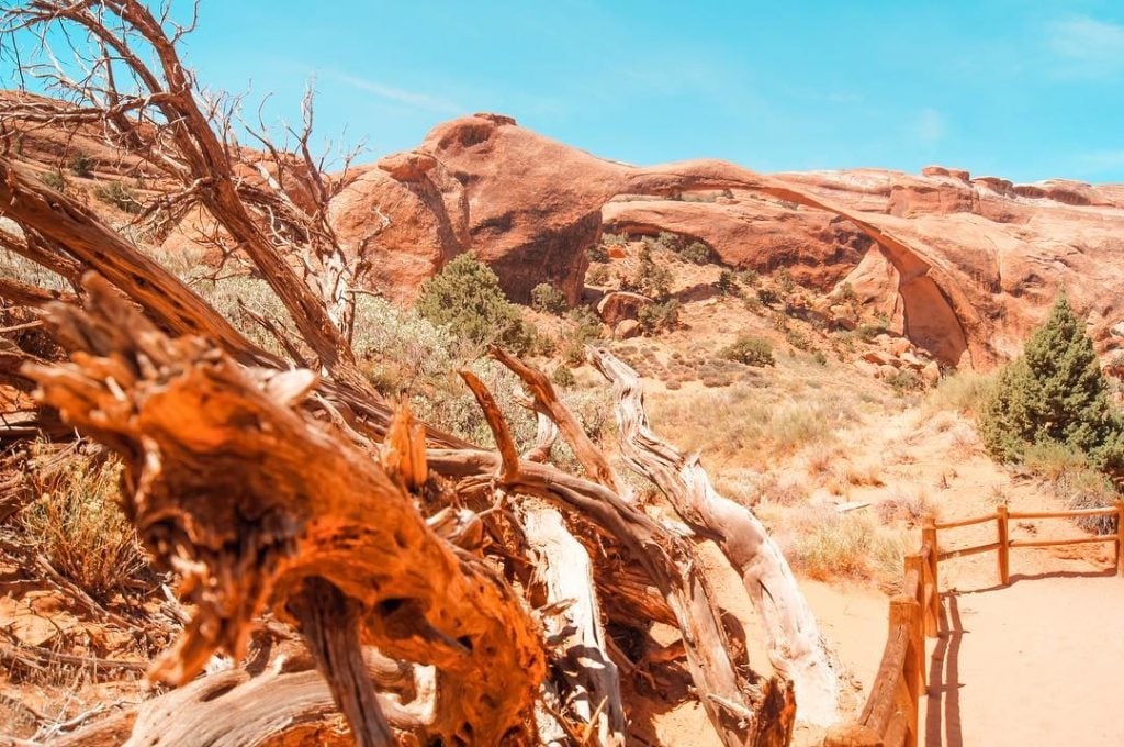 C’est arches est tellement fini qu’on se demande comment elle tient. Pensez-vous que la…