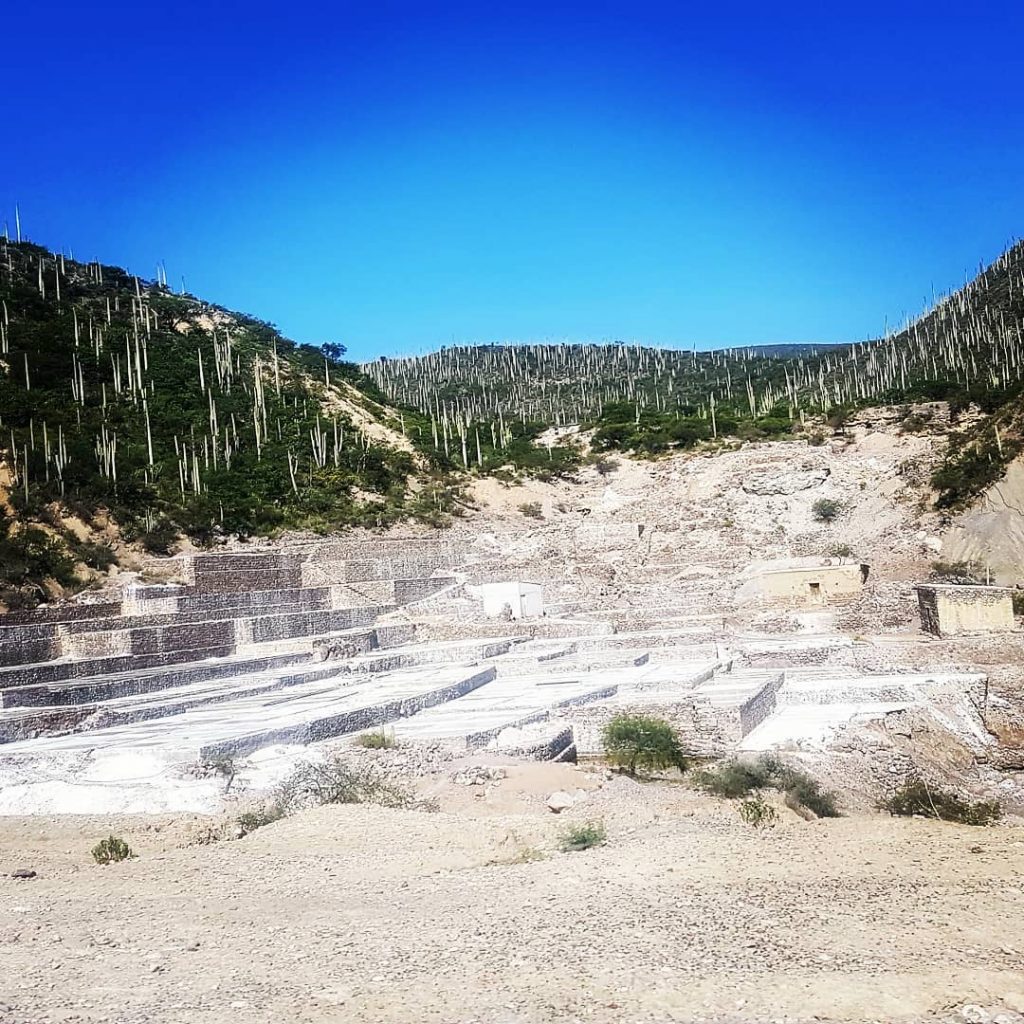 Valle de Tehuacan #demochilazo #vivemexico #vive_mexico #mexico_maravilloso #lovesmexico #mexicodesconocido #visitmexico #pasionxmexico #instamexicanos  #mexico_amazing #travel&hellip;