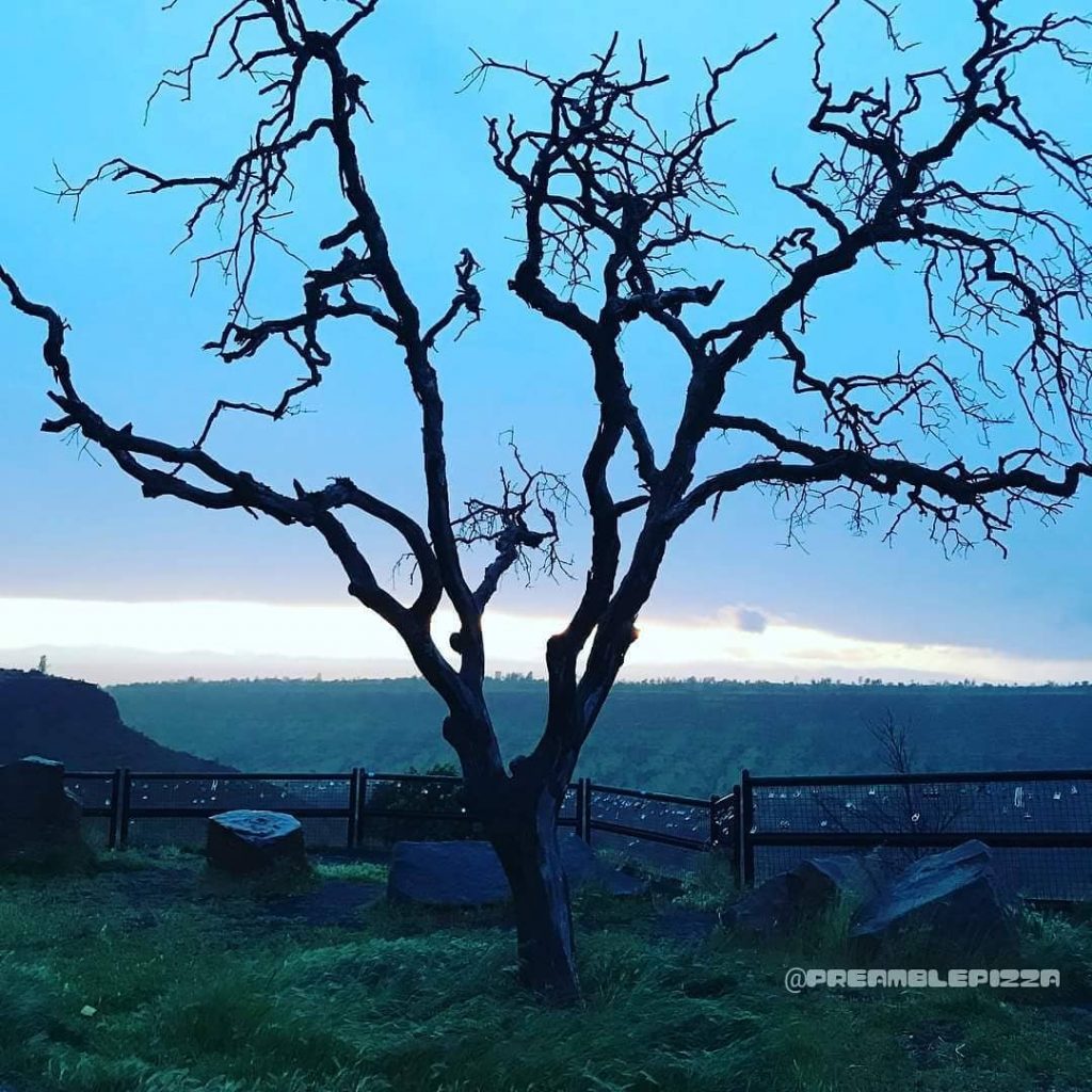 What a peaceful day! #california #californian #paradise #northerncalifornia #insta #instapic #instagood #instalike #instagram #instatravel&hellip;