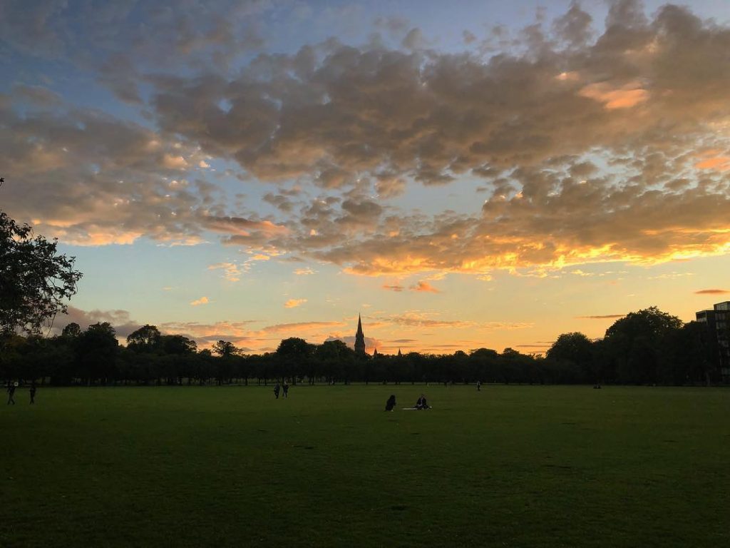 Evening on The Meadows . . . . . . . . . .&hellip;