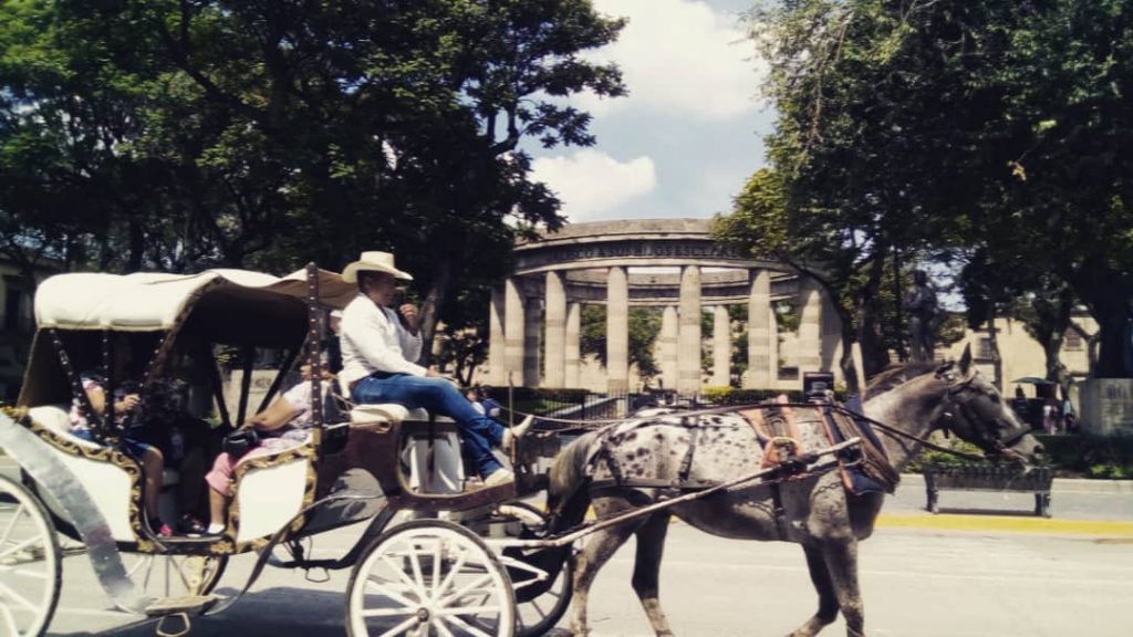 Mi bello ???????? My beautiful #jalisco #travel #mexico #tequila #travelformexico #visitmexico #turismo #viajemospormexico #bellaarquitectura&hellip;