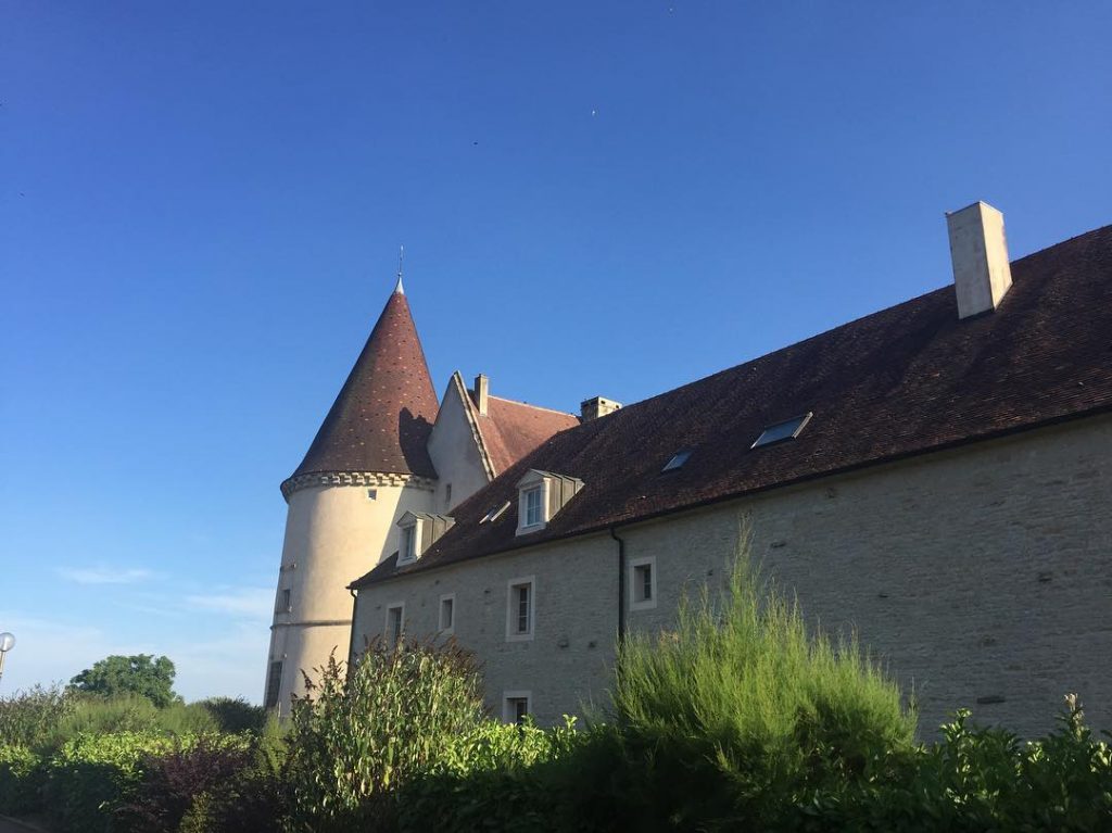 (????????????????⬇️) ????????Burgundy is so beautiful. Here the time seems to have stopped.⏱ Curious to&hellip;