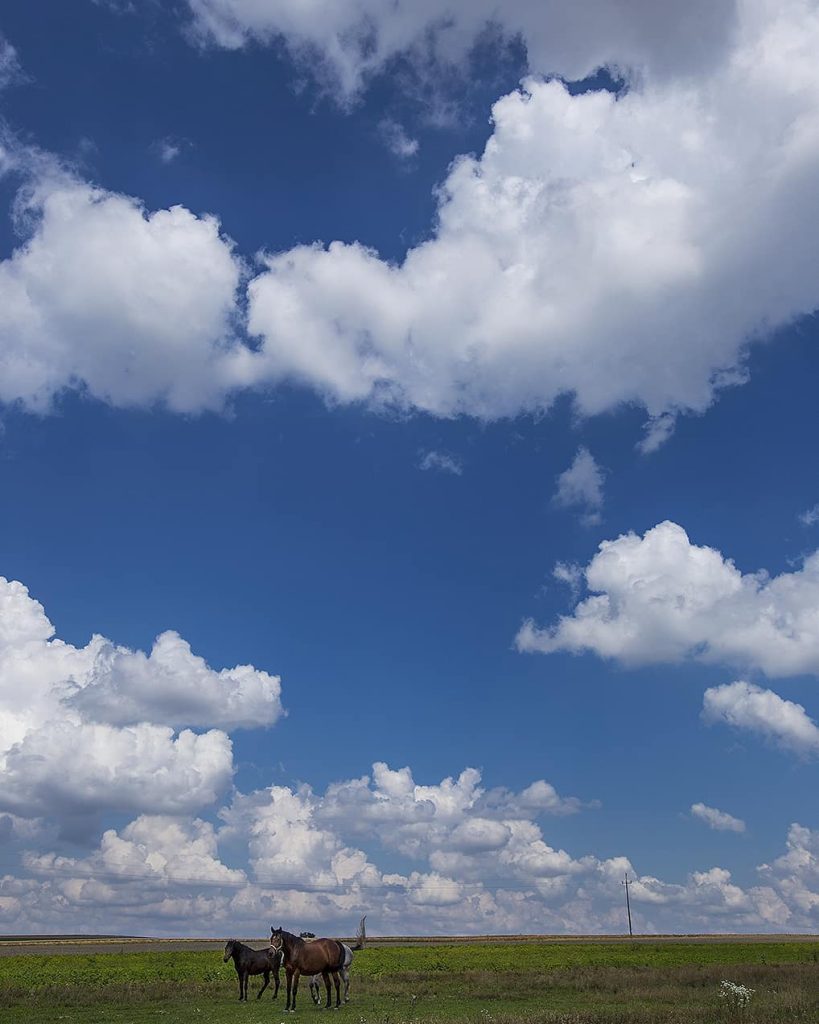 On Wednesday I took part in a Volunteering Day organized by company I work&hellip;