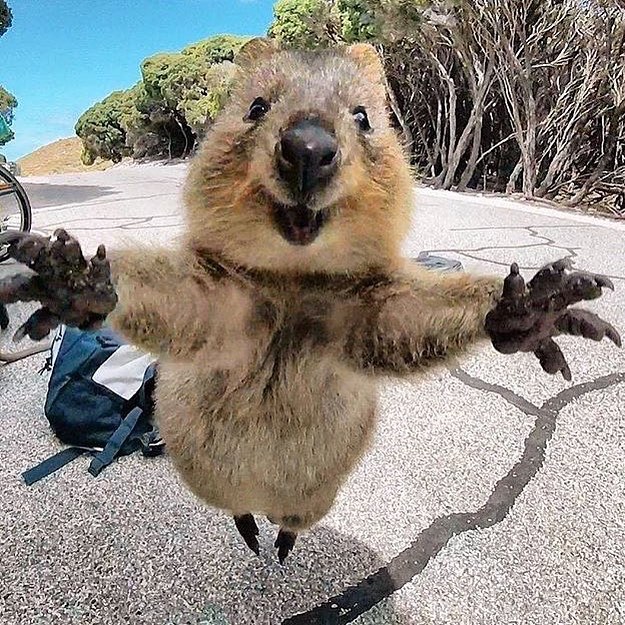 ???????????????? ???????? ???????????? ???????????????? ???????????????????????? ???????????? ???????????????? ???????????? ????????????????????????????????????? ⠀ ⠀ ⠀⠀⠀ ⠀ ⠀&hellip;