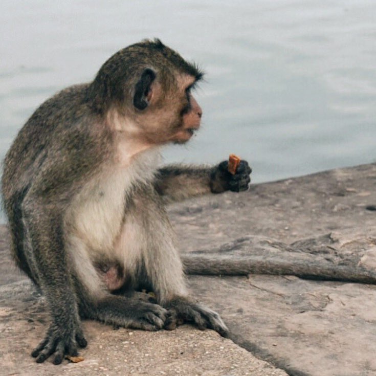 I haven’t posted anything for a long time. But here I am. One month&hellip;