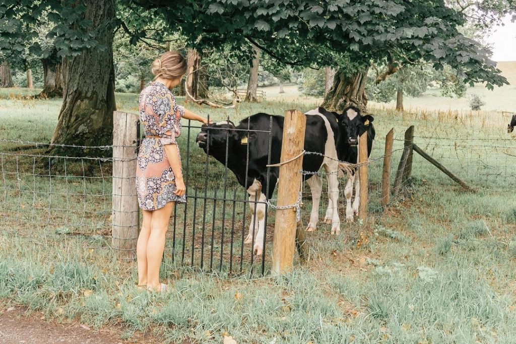 cow disorder ‍️ . . . #huntingforviews #guardiantravelsnaps #sheisnotlost #darlingplaces #darlingescapes #ig_color #culturetrip #speechlessplaces…