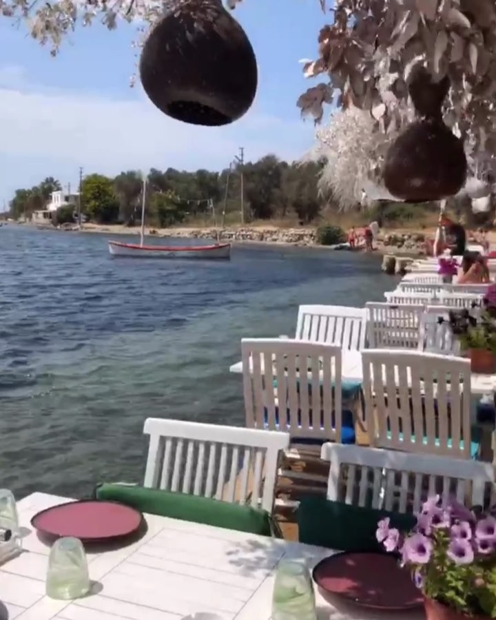 Çiçekler kadar güzel bir hafta sonu geçirmiş olmanız dileğiyle herkese iyi akşamlar ???? #bodrum