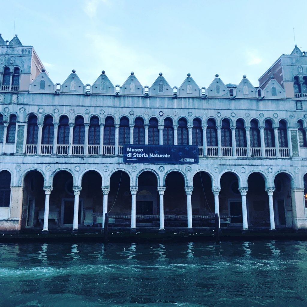So dramatic and magical place #venezia #italy #travel #instatravel #summer18 #lafenice #magical #travelshots #bnesimppl