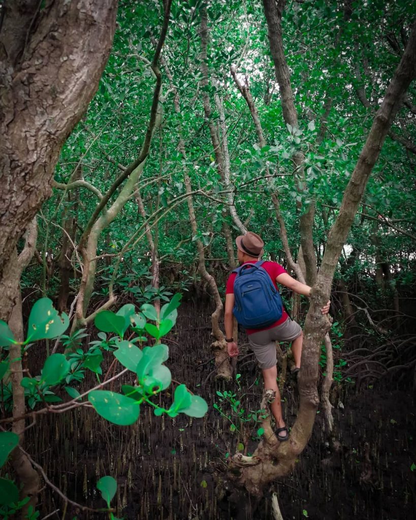 Seek and you shall #ExploReytion #travelph #travelworld #bnesimppl #travelphotos