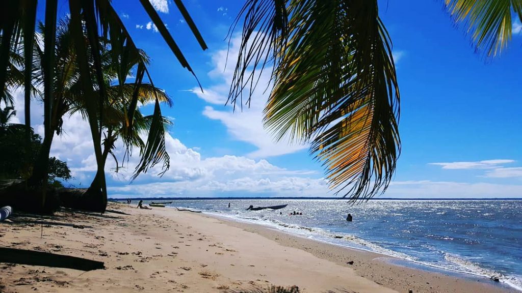 Guyane Française #trip #travelling #photography #france #saintlaurent #photo #picoftheday #southamerica #2018 #beach #palmtrees #sun…