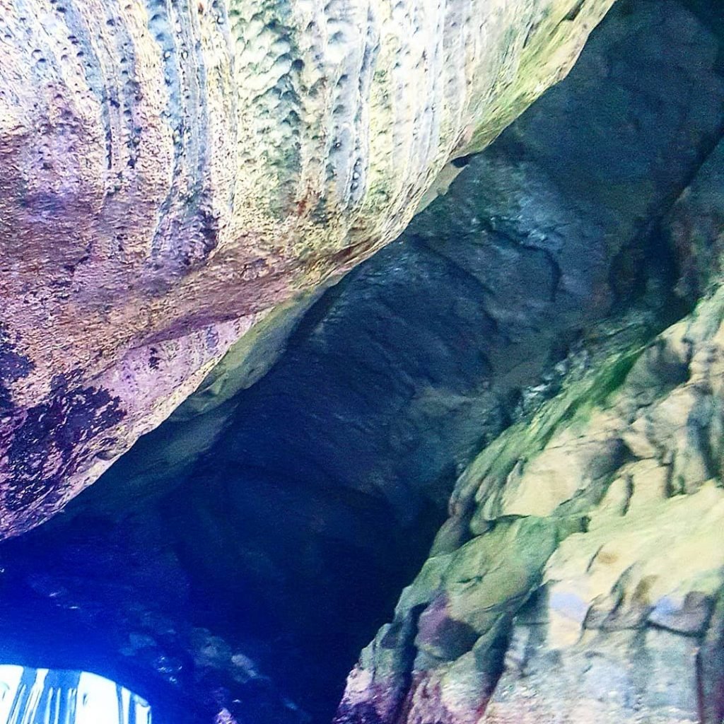 I took this while snorkeling. If it’s a bit blurry I’m Sorry! If you’re…