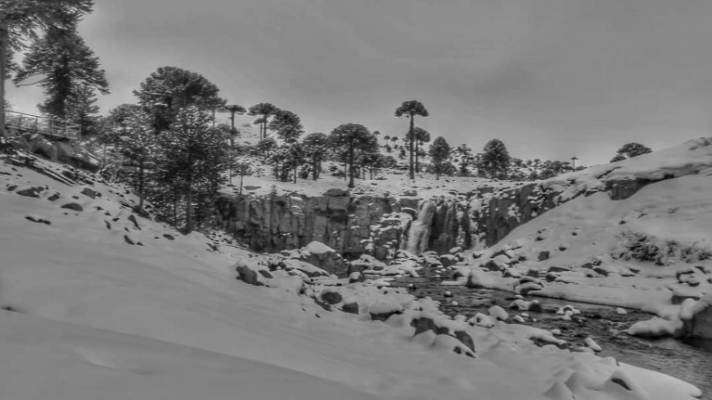 Hablando de lugares má #patagonia #argentina #theglobewanderer #discoverearth #bnesimppl #wildlifephotographer #photographer #instamoment #instatravel #instaphoto&hellip;