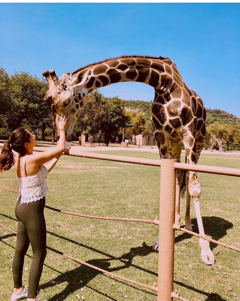 Que hermoso lugar felicidades por cuidar y darles un hermoso espacio a los animales.…