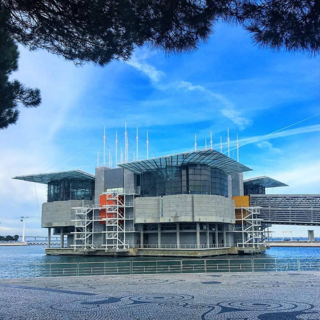 #ozeaneum #ozeanariumlisboa #fish #shark #urlaub #holiday #sun #sunny #city #happy #travel #reisen #enjoyyourlife #travelphotography&hellip;