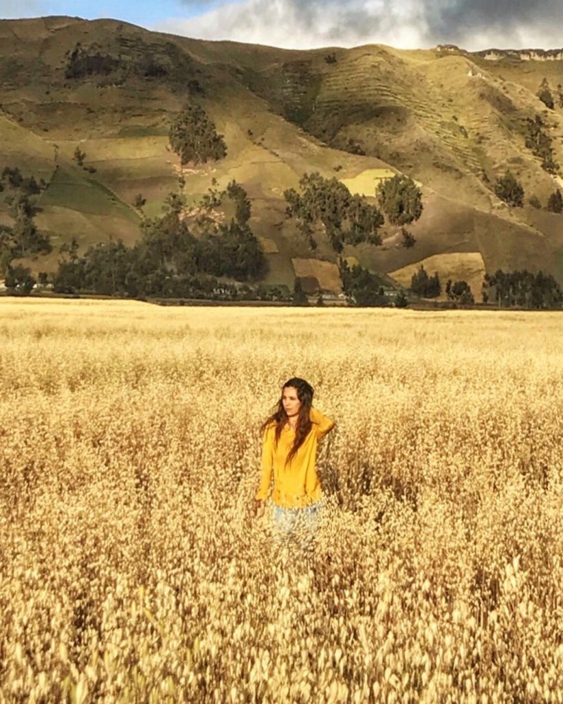 golden wheat fields forever