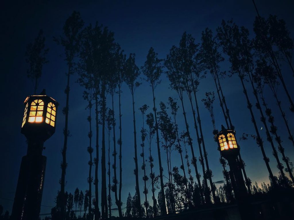 The real meaning of enlightment is to gaze with undimmed eyes on all darkeness.&hellip;