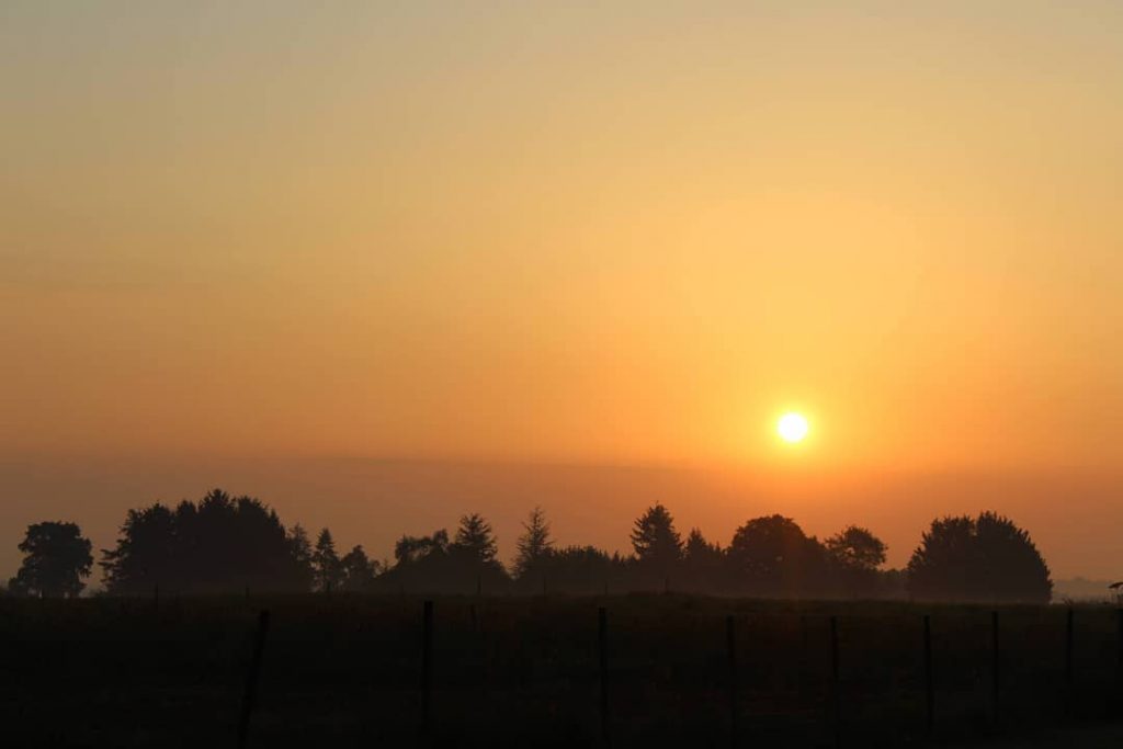 Pipriac – France . This is the view that we have in our backyard&hellip;