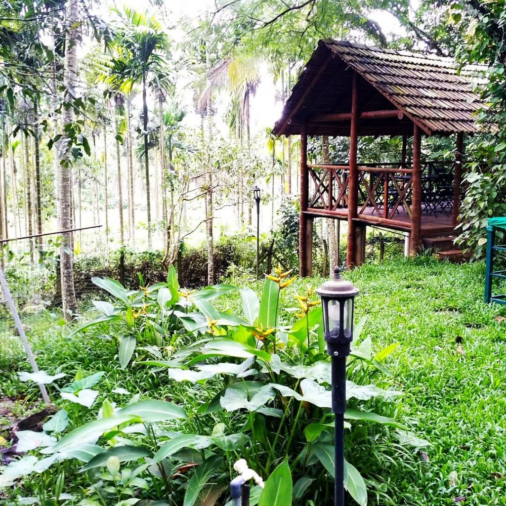 28 days yoga and meditation retreat in this wonderful place in India . .&hellip;