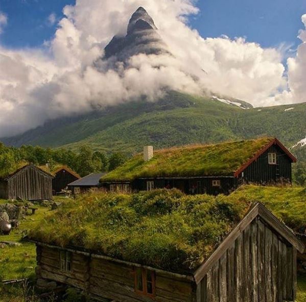 Beauty nature #beautifulplaces #voyage #landscapstyles #travelphotography #travelblogger #hermanosviajeros #iloveamsterdam #sanfrancisco #igersnetherlands #winterlove #visitamsterdam #bnesimppl&hellip;