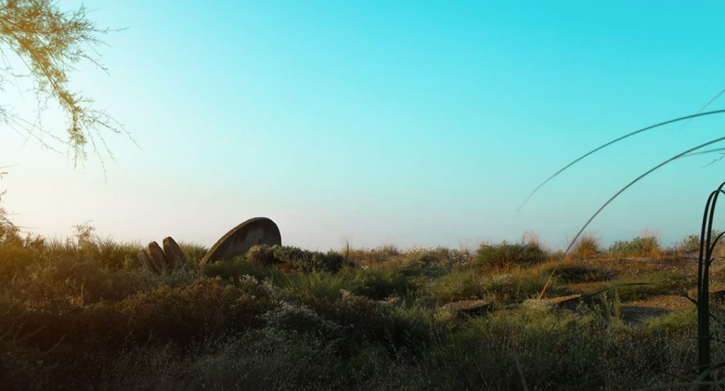 Life is an adventure ️ . What is your adventure ? Tell me down there &hellip;