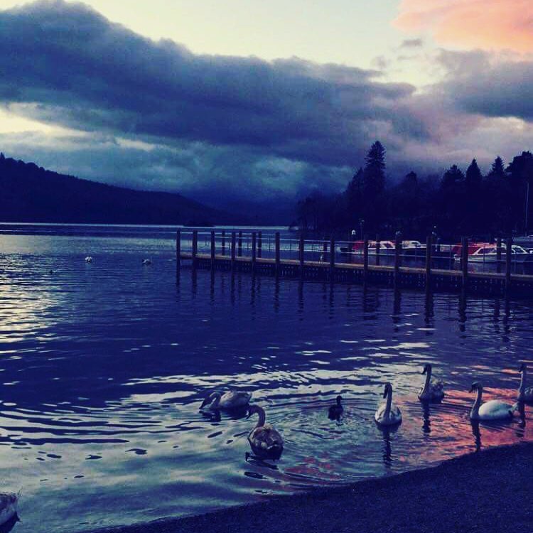 Evening views in the Lake District . . . #bownesslake #thelakedistrict #bowness #swans #holiday&hellip;